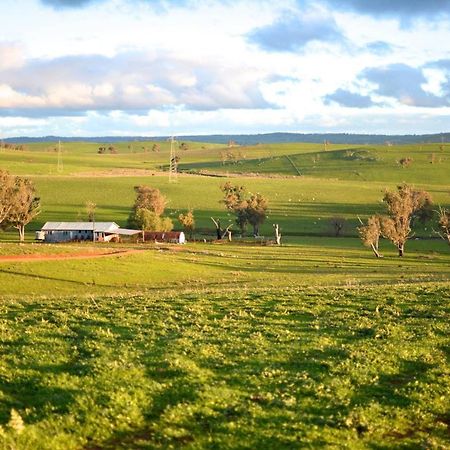 Wantana Cottage Farmstay Boorowa Экстерьер фото