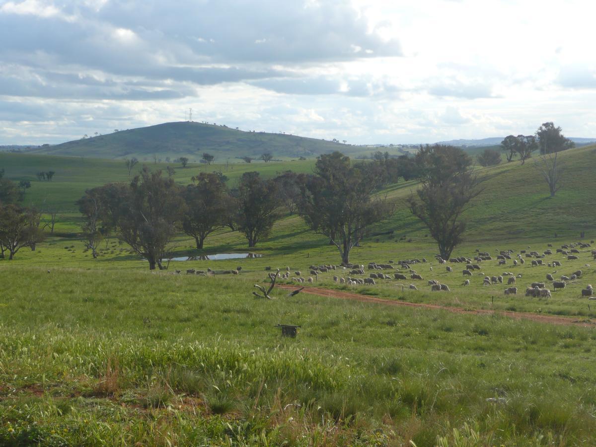 Wantana Cottage Farmstay Boorowa Экстерьер фото