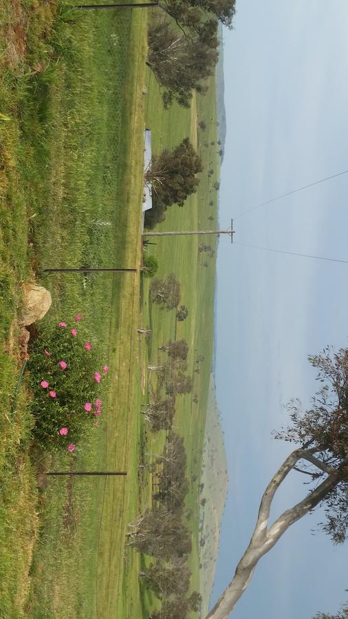 Wantana Cottage Farmstay Boorowa Экстерьер фото